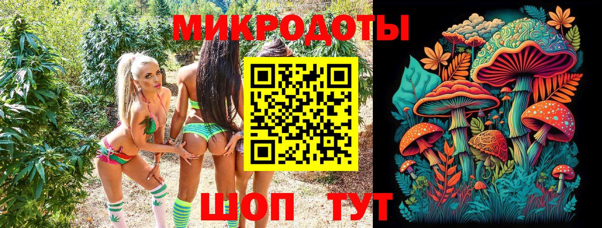 Псилоцибиновые грибы Psilocybine cubensis Грязи