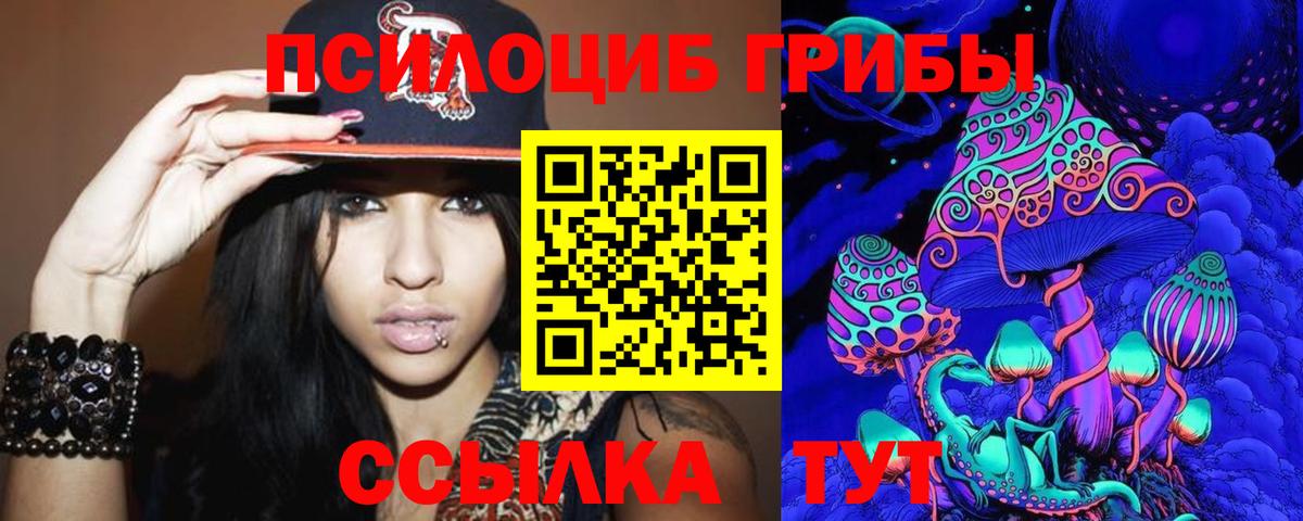 Псилоцибиновые грибы Psilocybine cubensis  Вход с VPN  купить наркотик  Грязи 